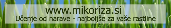 Mikoriza.si